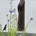2026.08.30 : 봉헌회1.2.3기 사진+..
