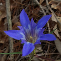 경남권 산행