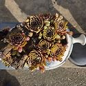 7월9일 수요일 출석부