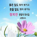 9월의 기도/이해인