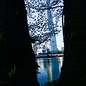 석천호수