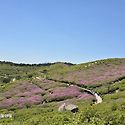 황매산