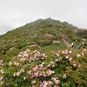 소백산 (천둥~율전)