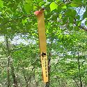 강박님이 보내주신 동서트레일 6구간 ..