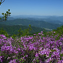 황매산