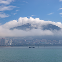 해무(海霧)