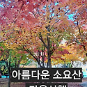 &#128149; 건강한 가을산행 &#127810;