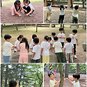 만5세 혜성반＜구름 아이스크림 만들기..