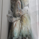 5월20일 (수) 여수 이카 오모리 한치 ..