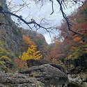 주왕산 절골의 단풍