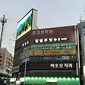 대구 달서구 유일 주짓수(도복&노기) ..