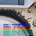 서울시 강북구 미아동 약국 엘지 휘센 ..