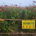경기도 연천