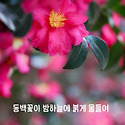 동백이의 계절에 들어보는