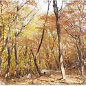 팔공산 가을산행 중암암 가을단풍