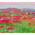 혼돈의 시대 (뒤죽박죽)
