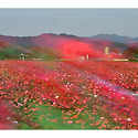 바람이 그린 그림