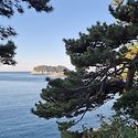 제주도