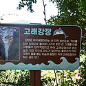 고래강정