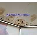 상가 지붕공사 빌라 아파트 주택 공장지..