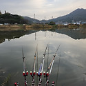 🐟 2023년 11월 첫째주 조..