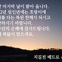 섣달 마지막 날 새벽에...