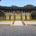 새기단 극락보전 국화꽃 단장