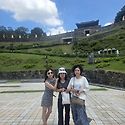 부여 유구색동수국정원축제, 공주,당진..