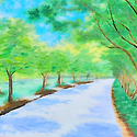 370. 가로수풍경