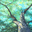 369. 고목