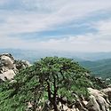 도봉산