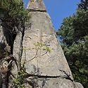 경주 남산