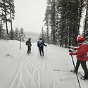 West Bragg Creek XC Ski(Mar..