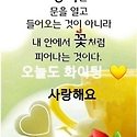 수요일,카톡인사