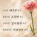 좋은 인연들과 함께 살아가고 있지요^..