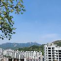 20260516 안산 아카시아 향기 맡으며 ..