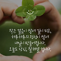 네잎 크로바는 행운입니다~~~^^