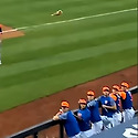 mlb팬들은 메이져급~