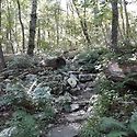 Appalachian Trail in Maryla..