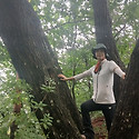 회봉산