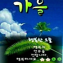 일요일,카톡인사