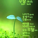 토요일,카톡인사