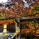 출령다리