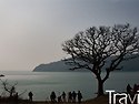 진도 접도