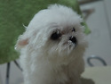 모모예요^^