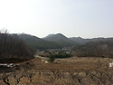 [陽城先塋] 시루봉