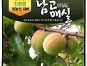 매실 중에 최고! 남고 매실을 저렴하게 판매합니다...^^