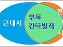 시집 부목(釜木) 칸타빌레..
