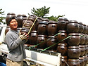 전통옹기 배송