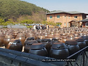 고성 콩이랑농원(2)